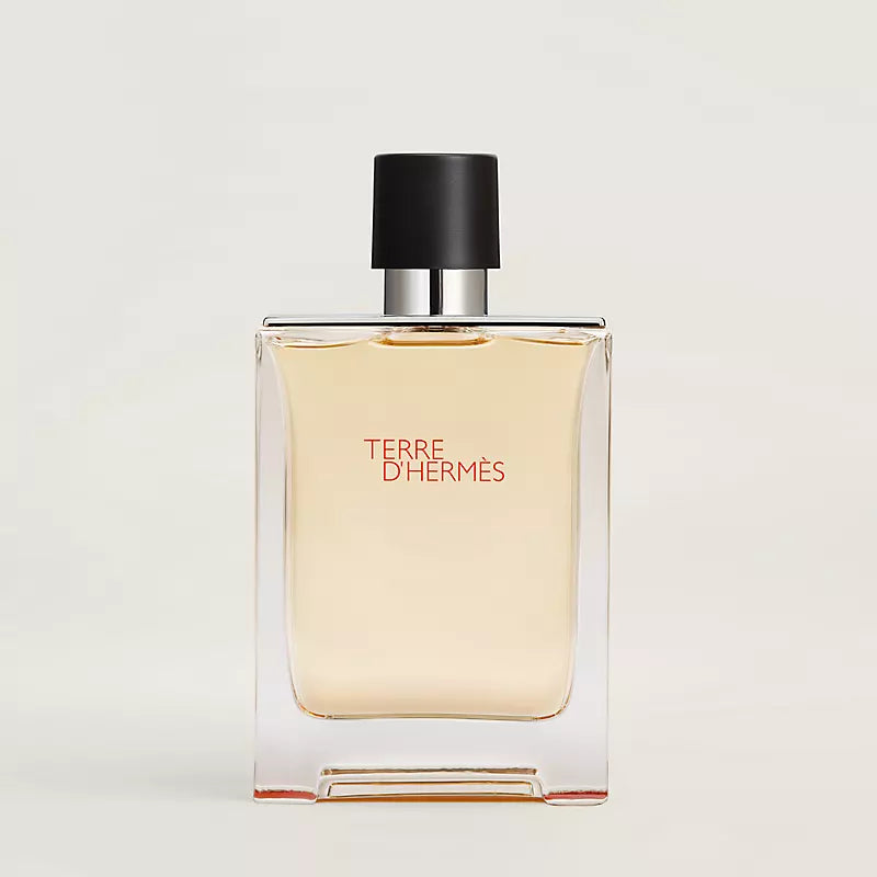Hermes Terre d'Hermes Eau de Toilette - 100 ml