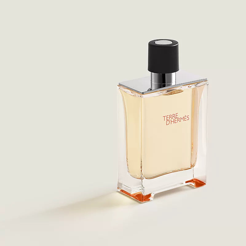 Hermes Terre d'Hermes Eau de Toilette - 100 ml
